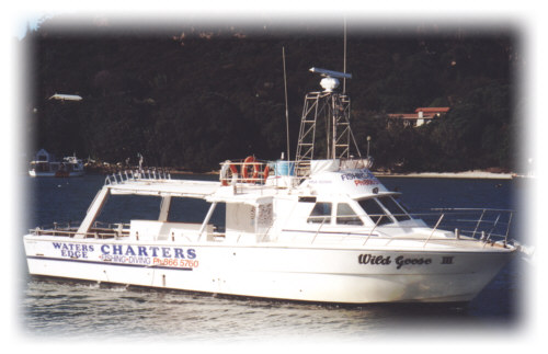 charter boat